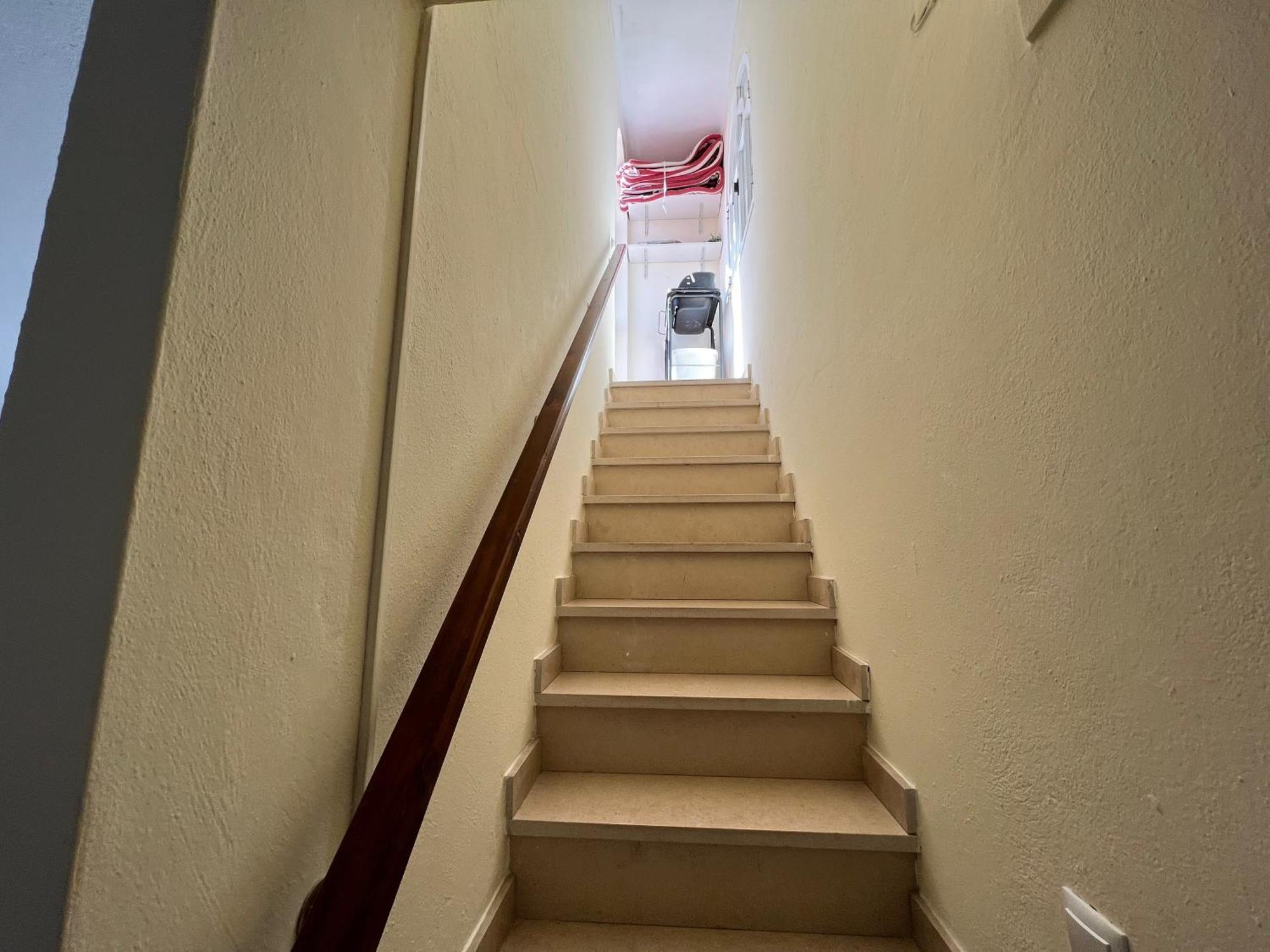 Green Apartment In Tavira Garden Bagian luar foto